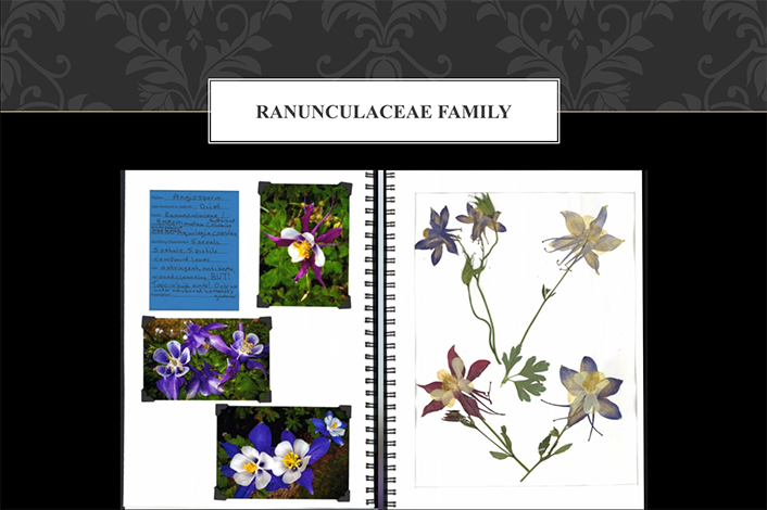 book with flower samples